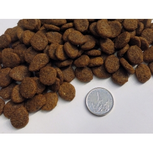 TASTE OF THE WILD SOUTHWEST CANYON 12,2 kg - Bezzbożowa karma dla psów wszystkich ras, niezależnie od wieku